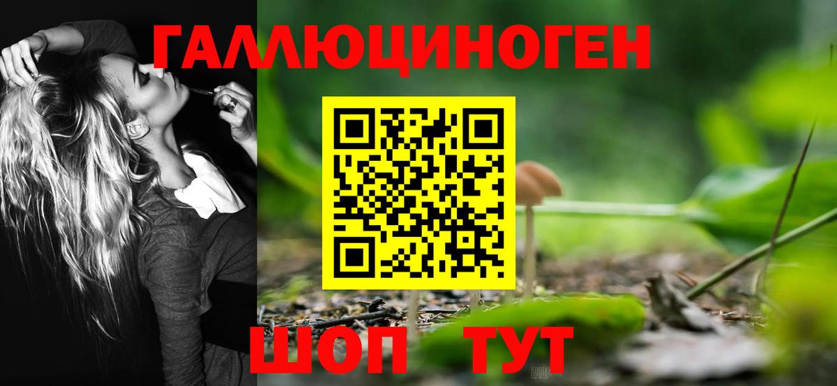 Кемерово  Псилоцибиновые грибы мухоморы  Вход с VPN 